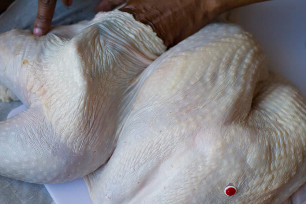 Separating skin from turkey mat