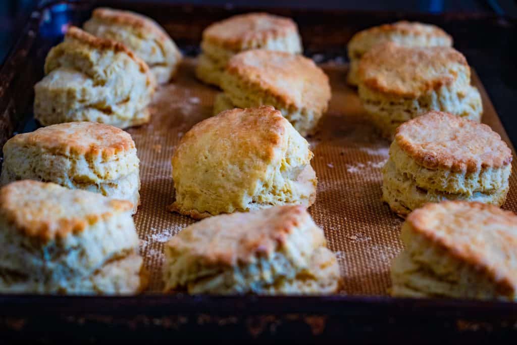 Buttermilk Biscuits