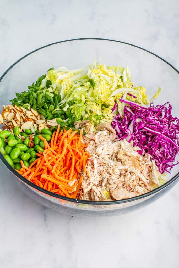 bowl with ingredients: napa cabbage, sliced almonds, edamame, red cabbage, shredded chicken and sliced carrots